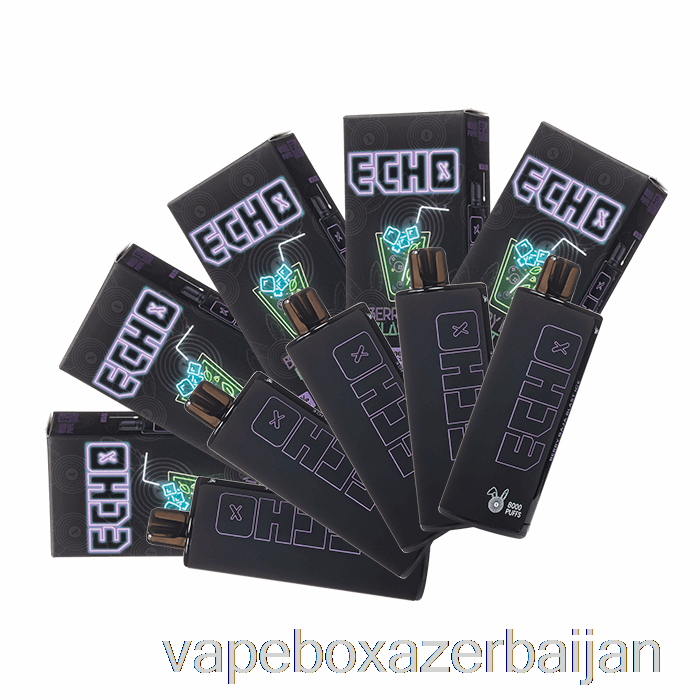Vape Azerbaijan [10-Pack] ECHO 8000 Disposable